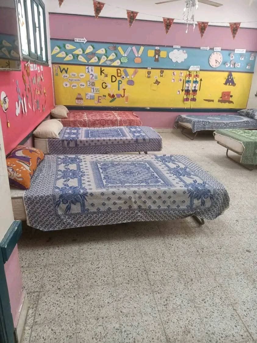 8de9f6bdcb.jpg