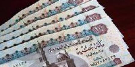 موعد زيادة المعاشات والمرتبات 2026 بعد عيد الأضحى ضمن خطة الحماية الاجتماعية