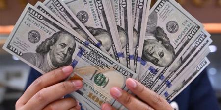 استقرار.. سعر الدولار مقابل الجنيه المصري اليوم الثلاثاء 2 يونيو 2026