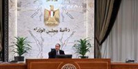 قرار جديد من الحكومة.. تعرف على شروط التعيين وشغل الوظائف القيادية بالجهاز الإداري للدولة
