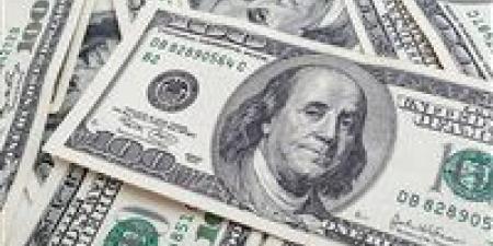 سعر الدولار اليوم في مصر اليوم الأربعاء