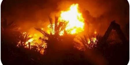 الحماية المدنية تسيطر على حريق بمزرعة نخيل بقرية الجديدة في الوادي الجديد
