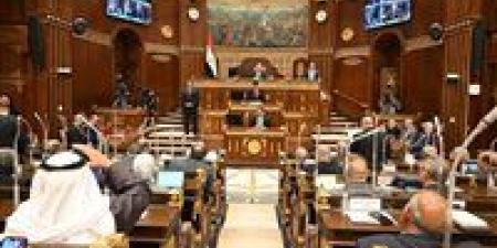الاثنين المقبل.. مجلس الشيوخ يناقش مشروع قانون خطة التنمية الاقتصادية والاجتماعية للعام المالي 2026/2027