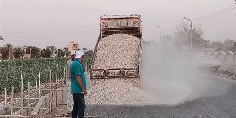 سور خرسانى على ترعة المريوطية